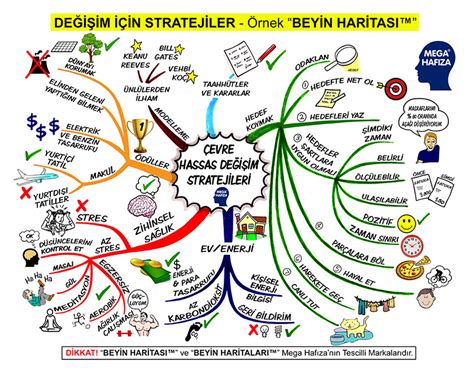 KPSS’de Kullanılan Zihin Haritaları: Hangi Özelleştirilmiş Yöntemler Daha Etkili?