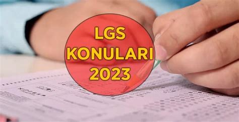 LGS Soru Tipleri: